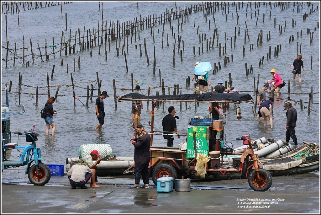 王功生態旅遊觀光採蚵車-2023-09-10-58.jpg