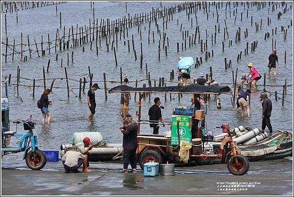 王功生態旅遊觀光採蚵車-2023-09-10-58.jpg