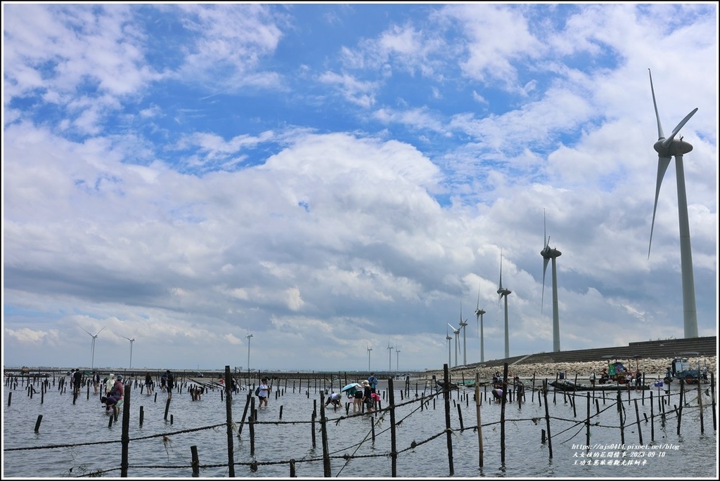 王功生態旅遊觀光採蚵車-2023-09-10-61.jpg 王功生態旅遊觀光採蚵車-2023-09-10-61.jpg