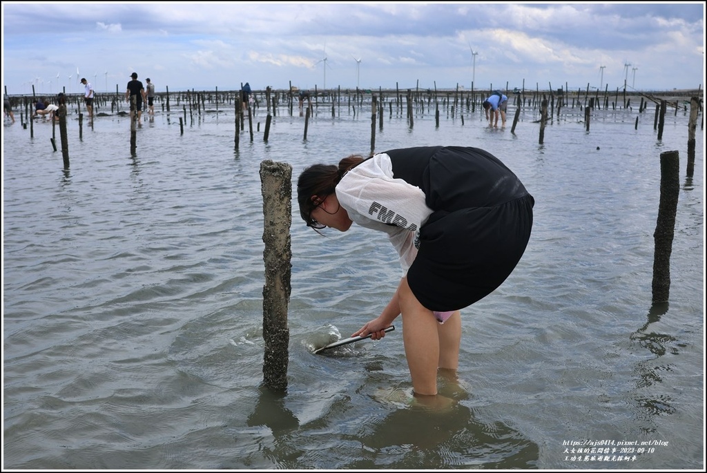 王功生態旅遊觀光採蚵車-2023-09-10-66.jpg 王功生態旅遊觀光採蚵車-2023-09-10-66.jpg