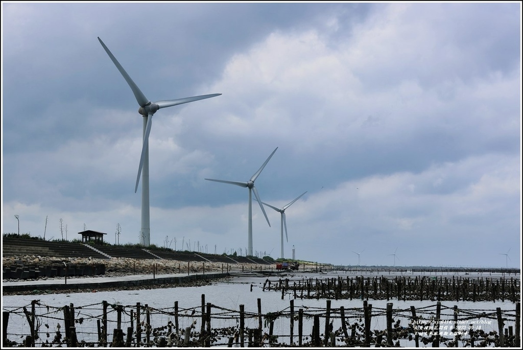 王功生態旅遊觀光採蚵車-2023-09-10-65.jpg 王功生態旅遊觀光採蚵車-2023-09-10-65.jpg