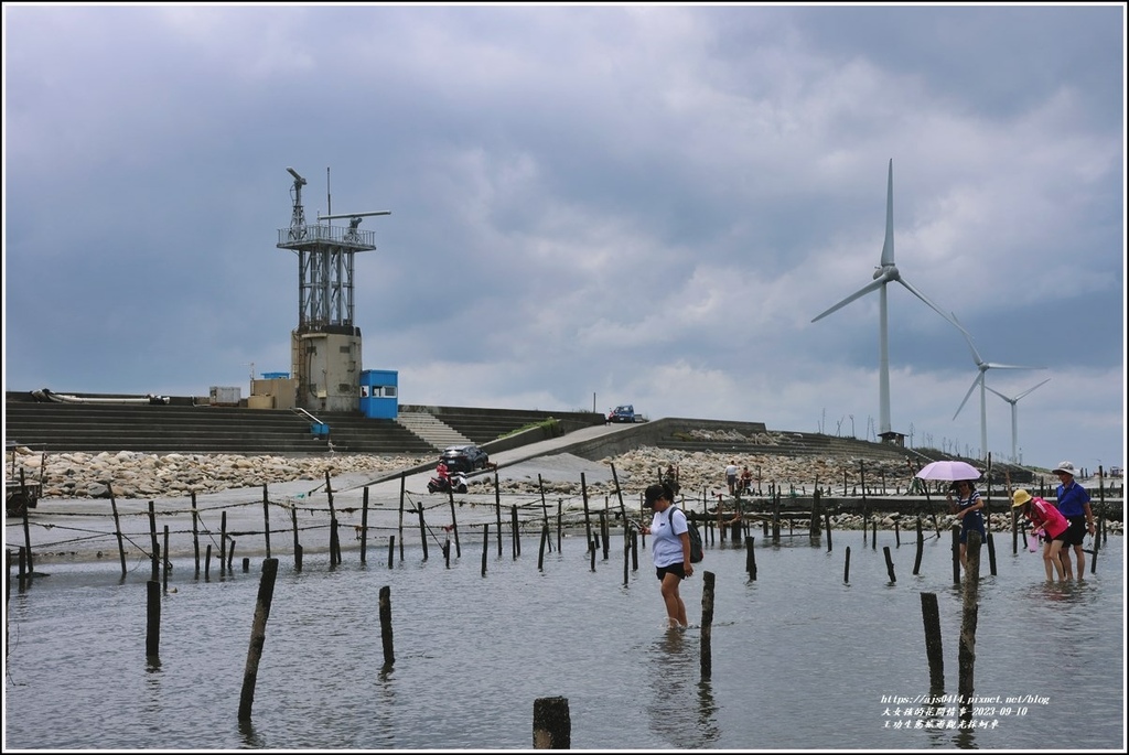 王功生態旅遊觀光採蚵車-2023-09-10-68.jpg 王功生態旅遊觀光採蚵車-2023-09-10-68.jpg