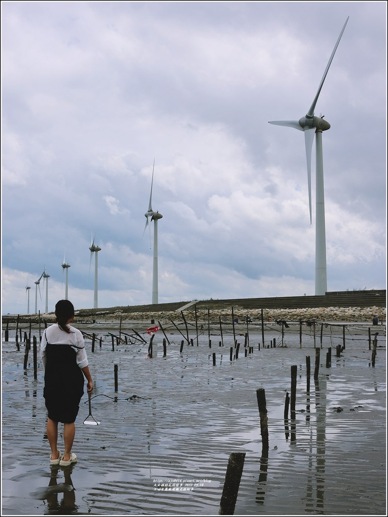 王功生態旅遊觀光採蚵車-2023-09-10-74.jpg 王功生態旅遊觀光採蚵車-2023-09-10-74.jpg