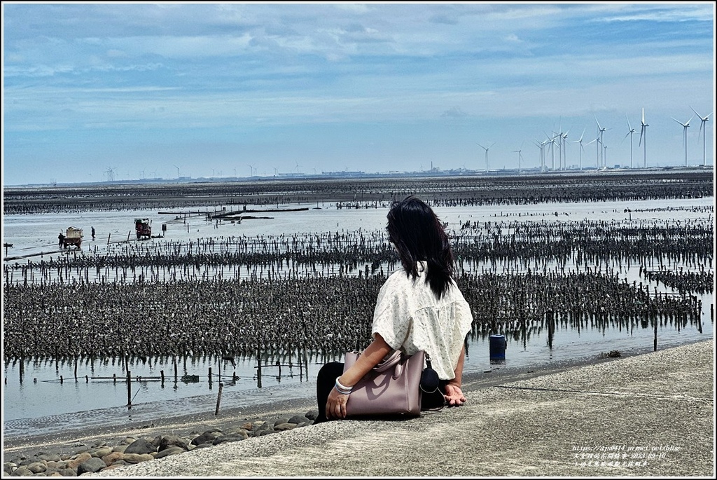 王功生態旅遊觀光採蚵車-2023-09-10-78.jpg 王功生態旅遊觀光採蚵車-2023-09-10-78.jpg