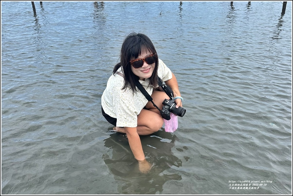 王功生態旅遊觀光採蚵車-2023-09-10-79.jpg 王功生態旅遊觀光採蚵車-2023-09-10-79.jpg