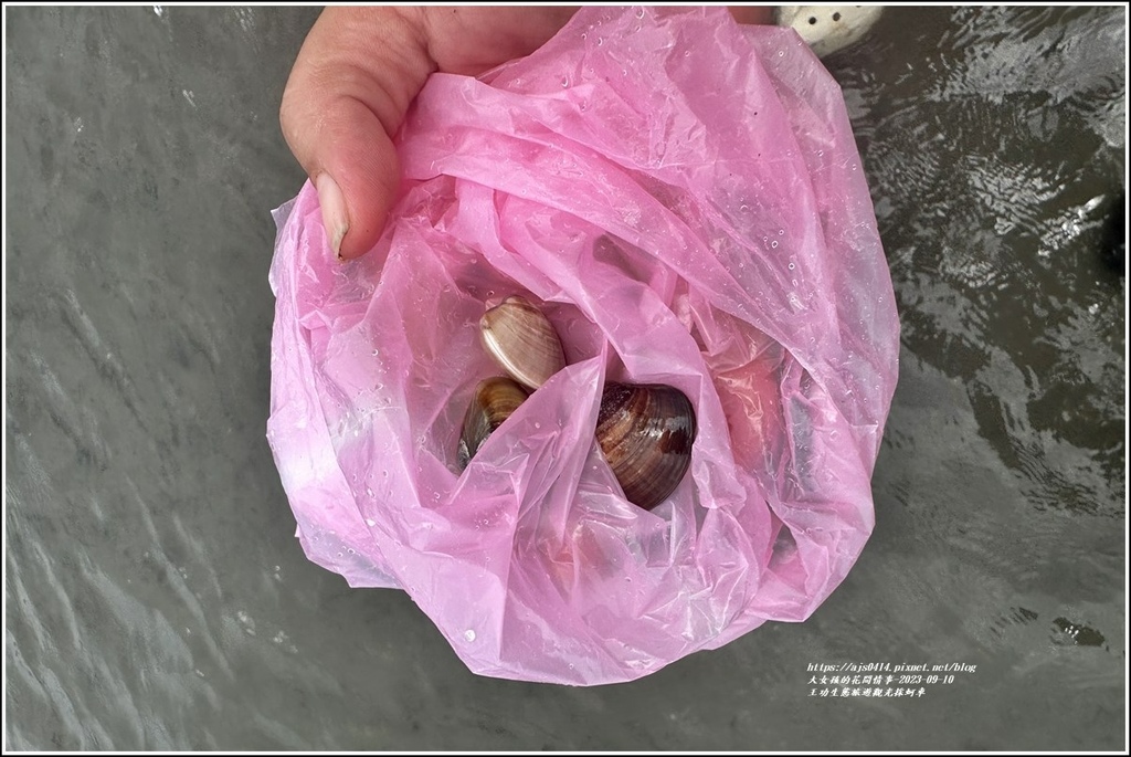 王功生態旅遊觀光採蚵車-2023-09-10-81.jpg 王功生態旅遊觀光採蚵車-2023-09-10-81.jpg