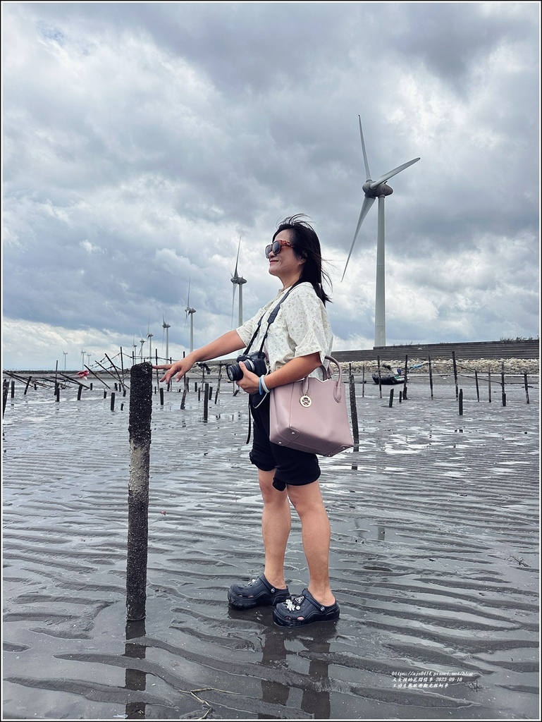 王功生態旅遊觀光採蚵車-2023-09-10-82.jpg 王功生態旅遊觀光採蚵車-2023-09-10-82.jpg