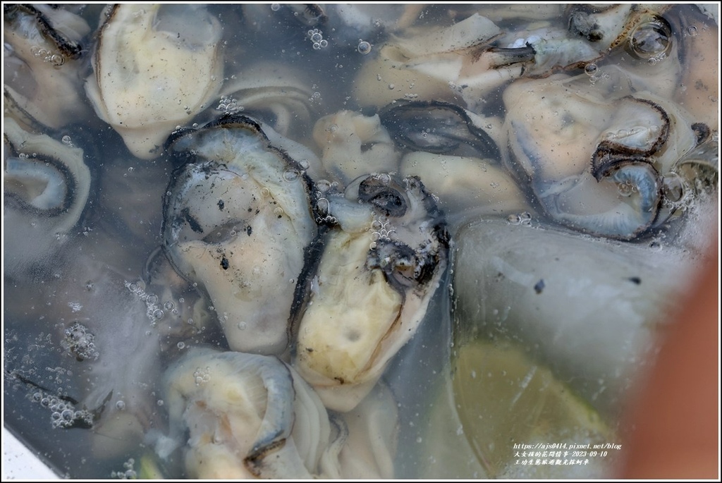 王功生態旅遊觀光採蚵車-2023-09-10-86.jpg 王功生態旅遊觀光採蚵車-2023-09-10-86.jpg