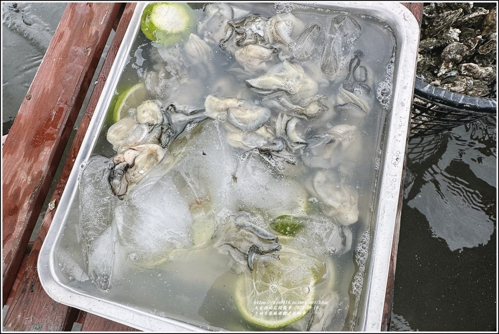 王功生態旅遊觀光採蚵車-2023-09-10-87.jpg 王功生態旅遊觀光採蚵車-2023-09-10-87.jpg