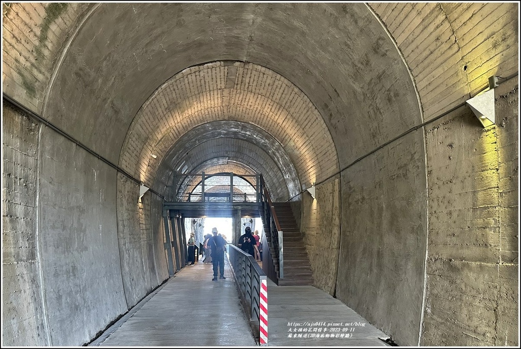 蘇東隧道(3D海底動物彩繪牆)-2023-09-11-07.jpg
