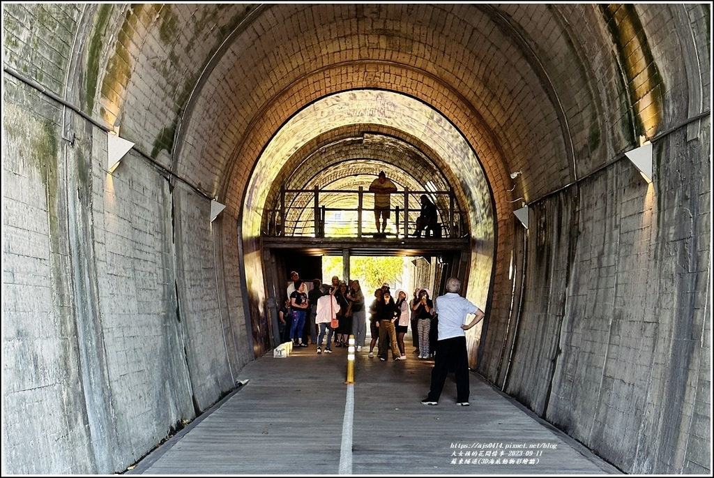 蘇東隧道(3D海底動物彩繪牆)-2023-09-11-17.jpg