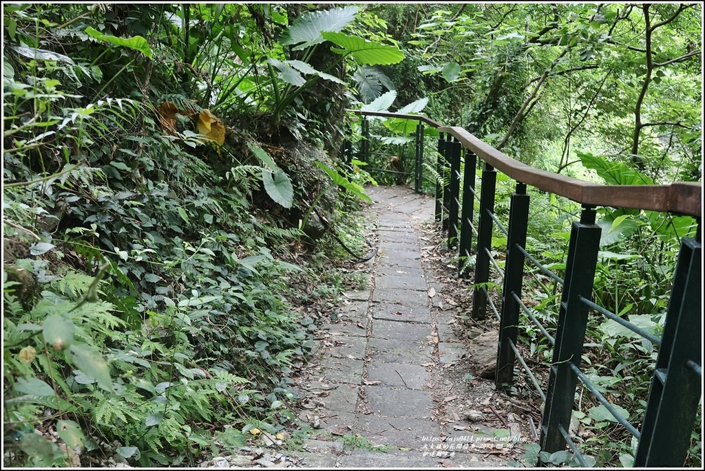 伊達斯步道-2023-08-26-04.jpg 伊達斯步道-2023-08-26-04.jpg