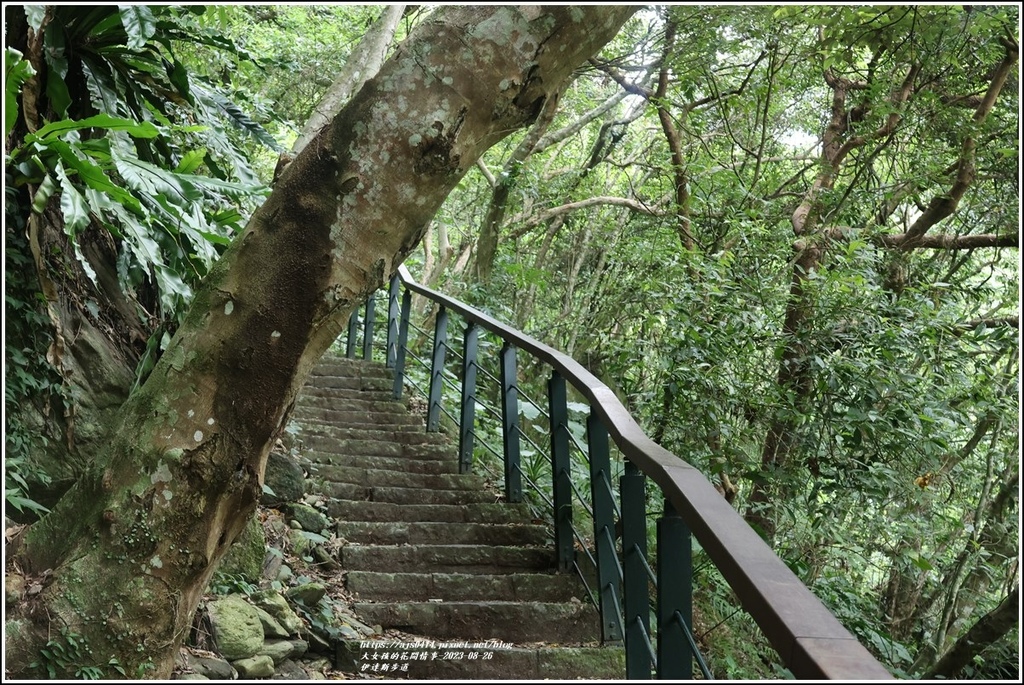 伊達斯步道-2023-08-26-08.jpg 伊達斯步道-2023-08-26-08.jpg