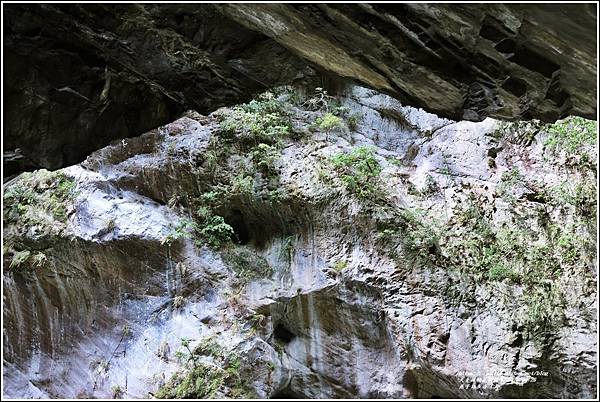 燕子口步道-2023-08-26-02.jpg