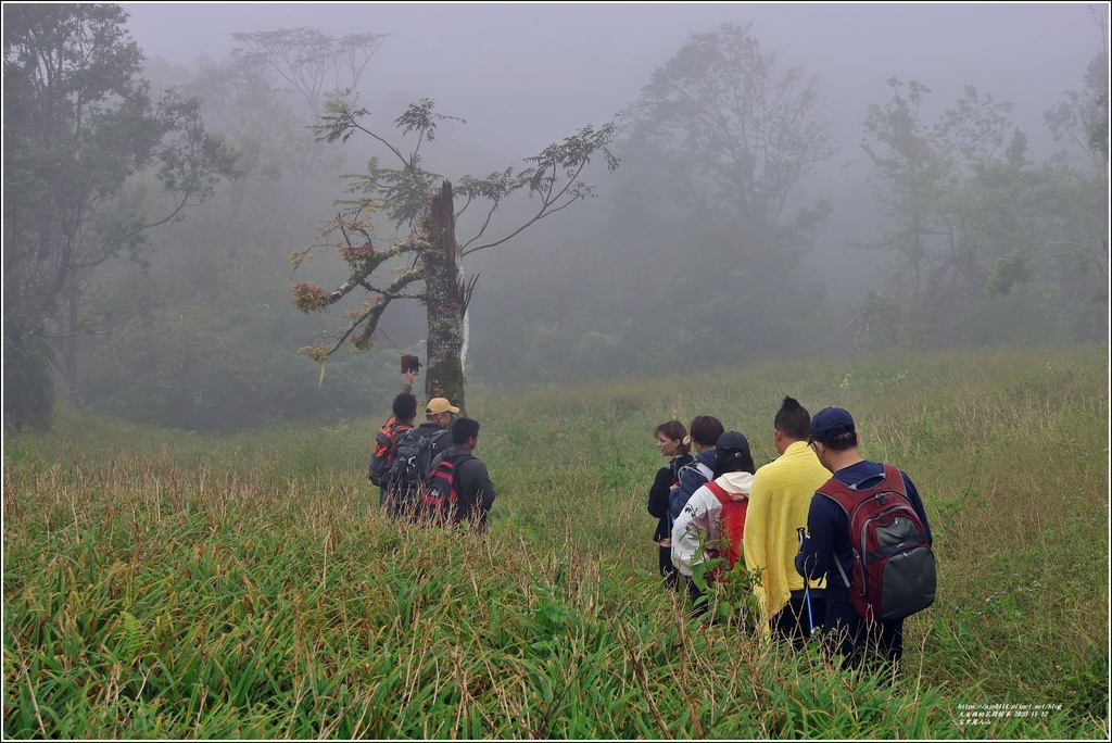 富里萬人山-2023-11-12-11.jpg