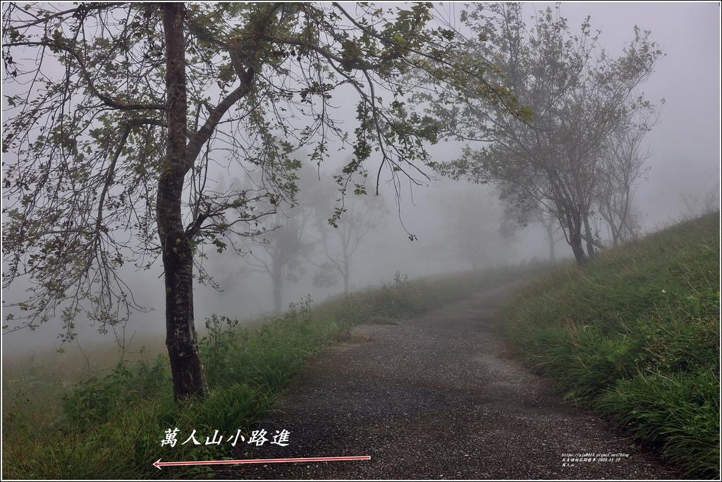 富里萬人山-2023-11-12-65.jpg