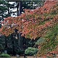 石川縣兼六園-2023-11-18-70.jpg