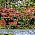 石川縣兼六園-2023-11-18-75.jpg