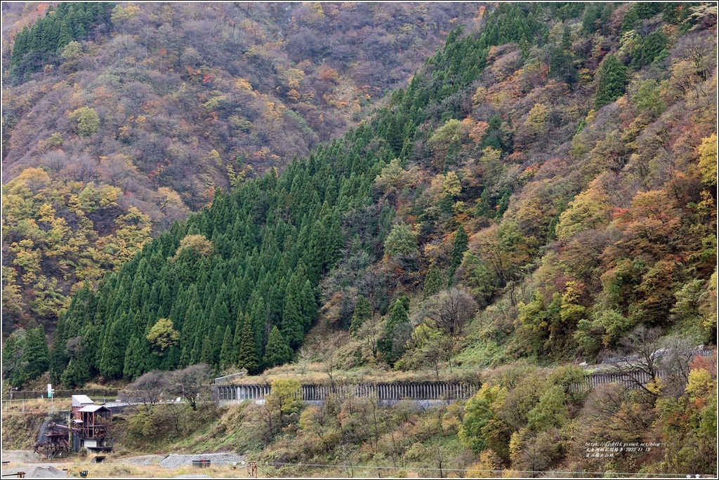 富山縣立山站-2023-11-19-28.jpg