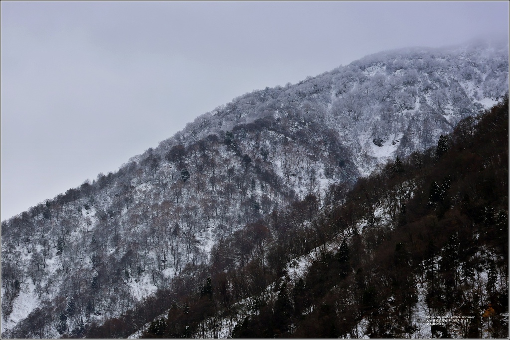 富山縣立山站-2023-11-19-48.jpg