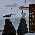 立山黑部(立山室堂高原)-2023-11-19-10.jpg