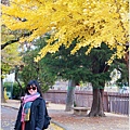 長野縣松本城-2023-11-20-37.jpg