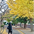 長野縣松本城-2023-11-20-39.jpg
