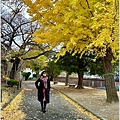 長野縣松本城-2023-11-20-44.jpg