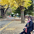 長野縣松本城-2023-11-20-46.jpg
