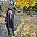 長野縣松本城-2023-11-20-48.jpg