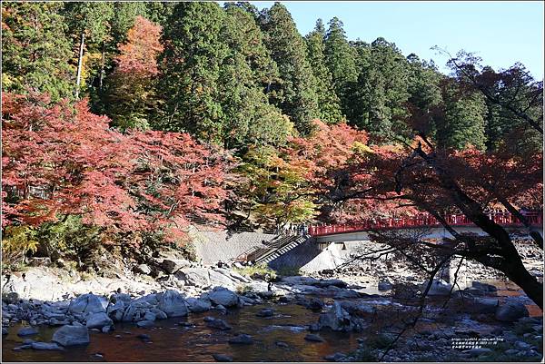 愛知縣豐田市香嵐溪-2023-11-20-11.jpg