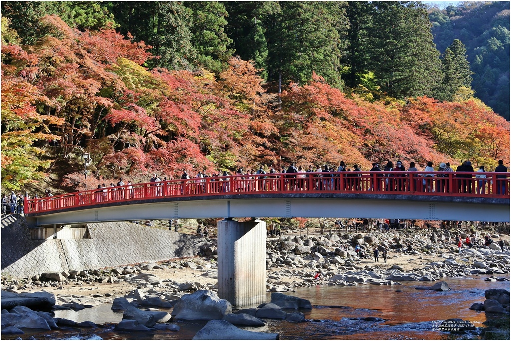 愛知縣豐田市香嵐溪-2023-11-20-13.jpg