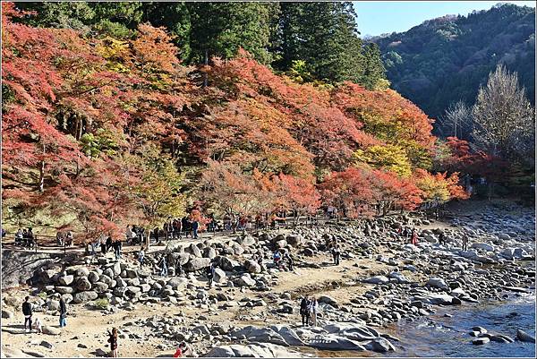 愛知縣豐田市香嵐溪-2023-11-20-16.jpg