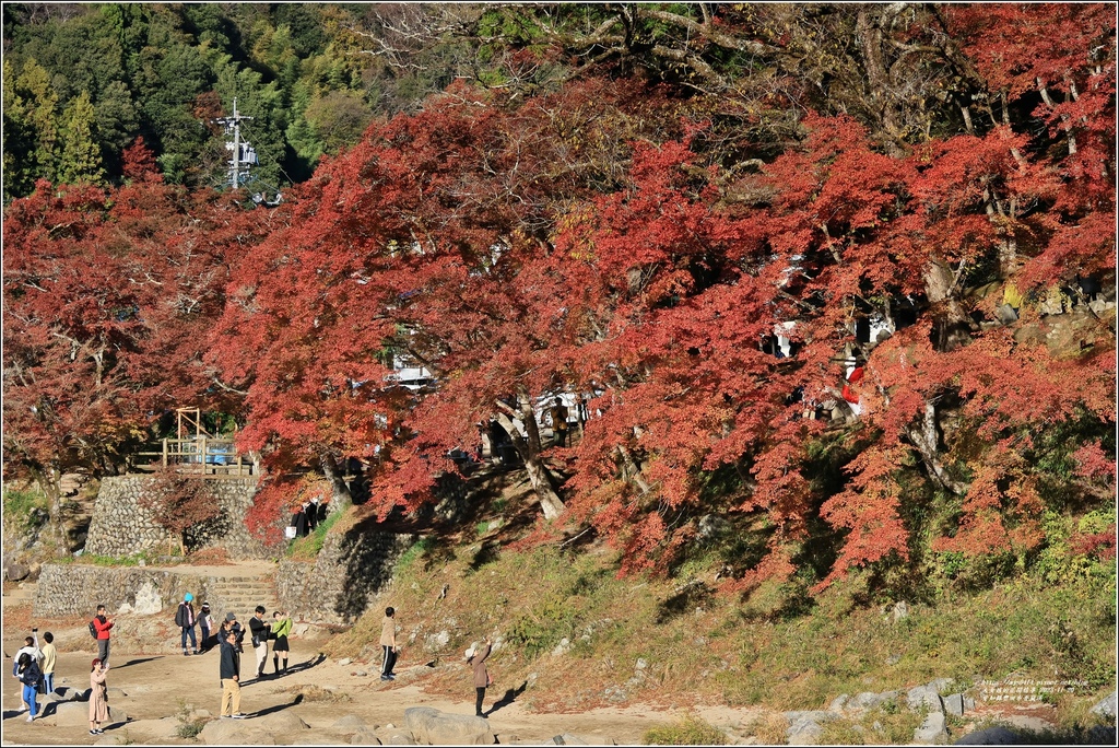 愛知縣豐田市香嵐溪-2023-11-20-56.jpg