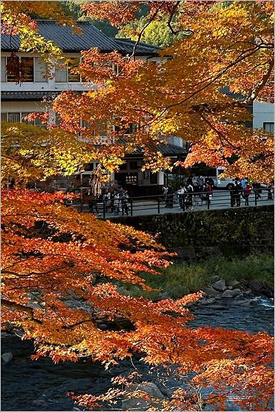 愛知縣豐田市香嵐溪-2023-11-20-68.jpg