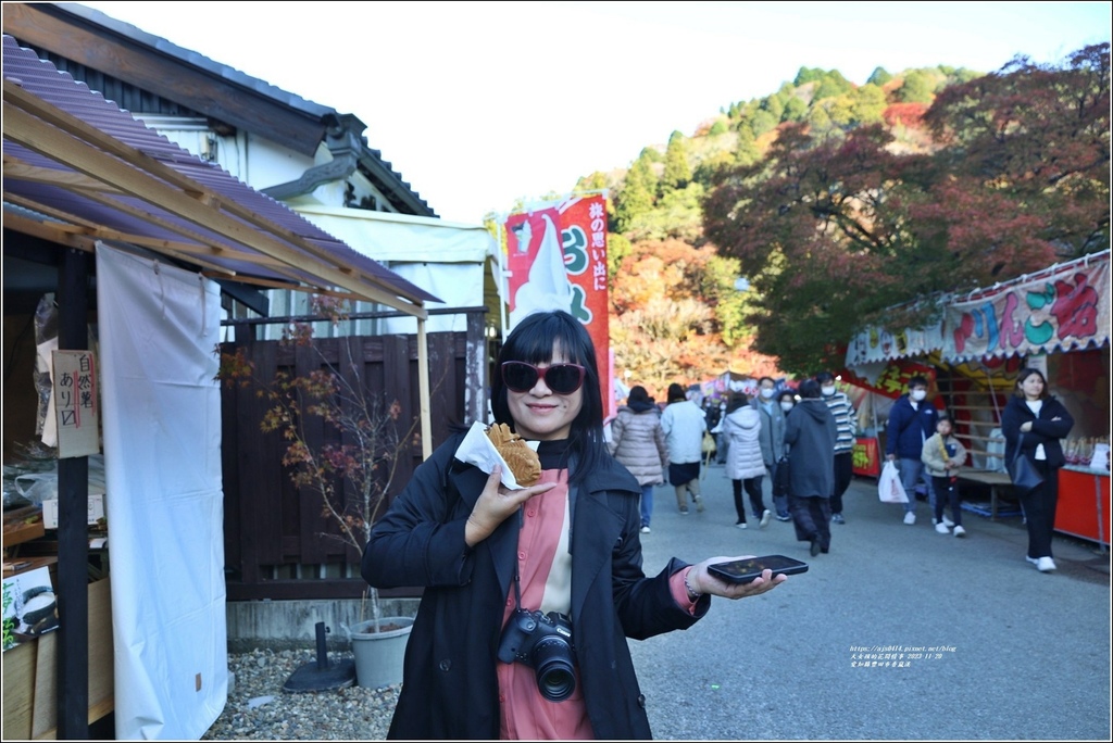 愛知縣豐田市香嵐溪-2023-11-20-83.jpg