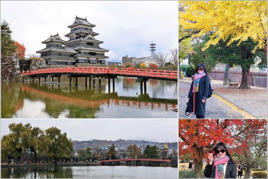 日本,長野,日本景點,長野景點,松本城,松本城公園,日本古蹟,長野古蹟,古蹟,五重六階天守,烏鴉城,天守閣,楓葉,銀杏