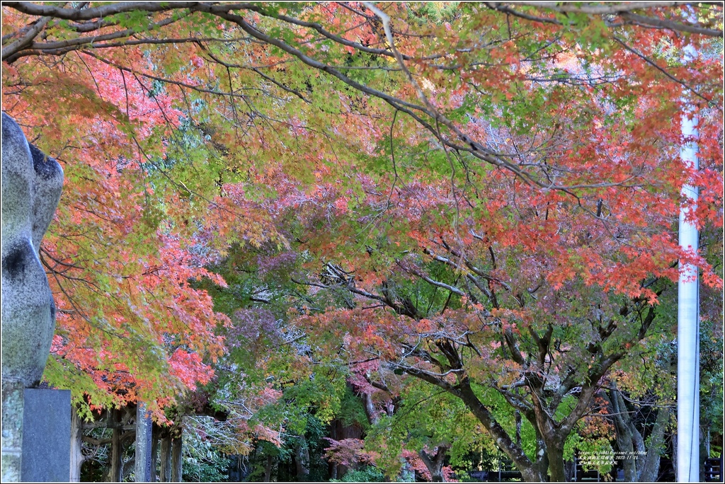 愛知縣犬光市寂光院-2023-11-21-06.jpg 愛知縣犬光市寂光院-2023-11-21-06.jpg