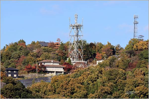 愛知縣犬光市寂光院-2023-11-21-07.jpg