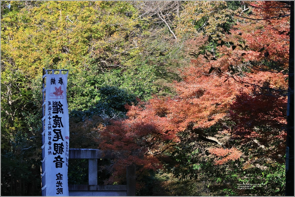 愛知縣犬光市寂光院-2023-11-21-17.jpg