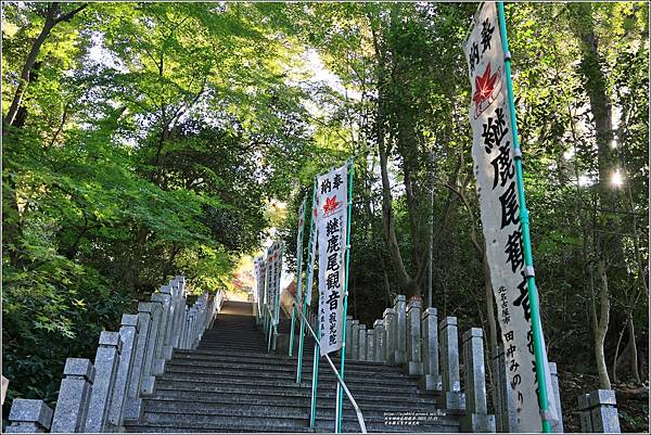 愛知縣犬光市寂光院-2023-11-21-23.jpg