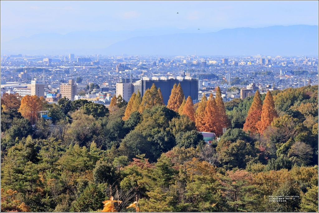 愛知縣犬光市寂光院-2023-11-21-33.jpg