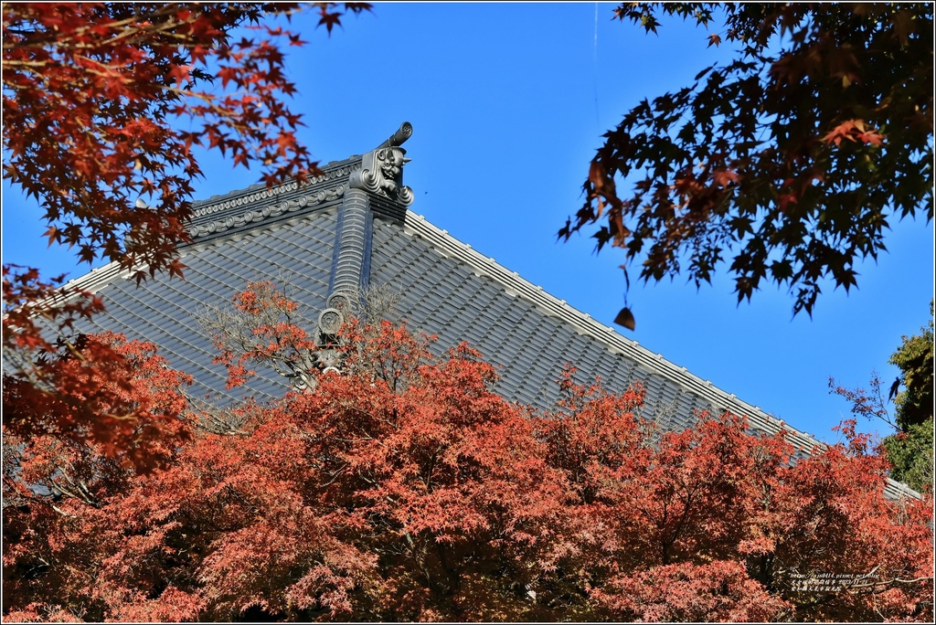 愛知縣犬光市寂光院-2023-11-21-49.jpg 愛知縣犬光市寂光院-2023-11-21-49.jpg