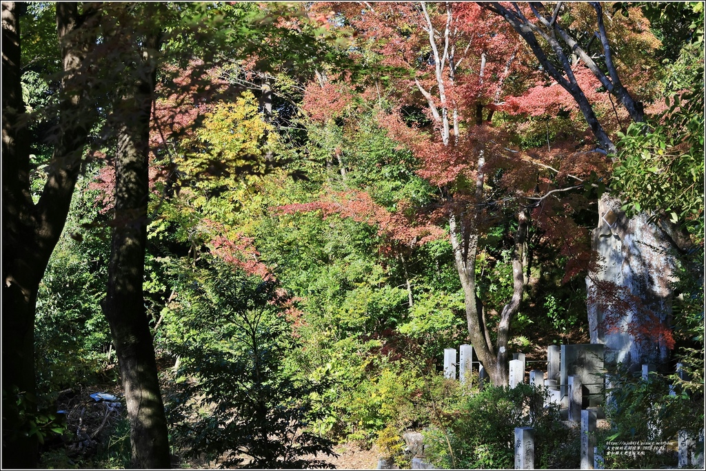 愛知縣犬光市寂光院-2023-11-21-58.jpg 愛知縣犬光市寂光院-2023-11-21-58.jpg