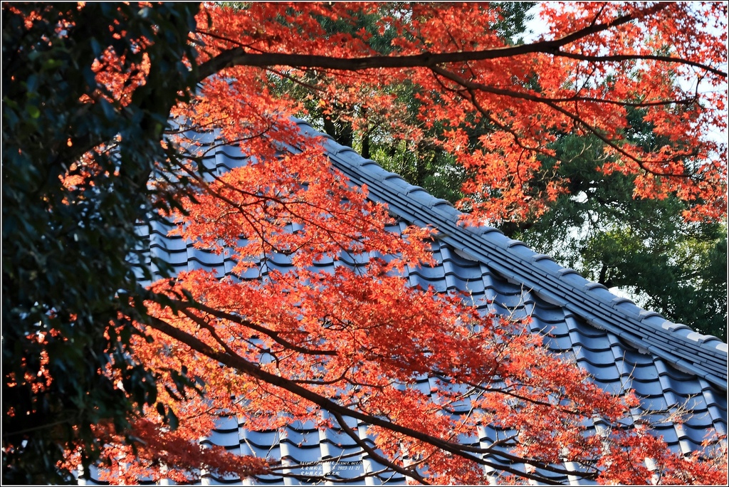 愛知縣犬光市寂光院-2023-11-21-59.jpg 愛知縣犬光市寂光院-2023-11-21-59.jpg