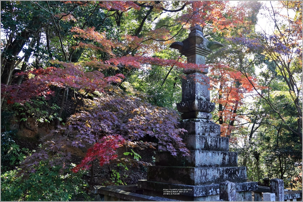 愛知縣犬光市寂光院-2023-11-21-60.jpg 愛知縣犬光市寂光院-2023-11-21-60.jpg