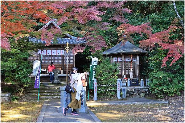 愛知縣犬光市寂光院-2023-11-21-61.jpg