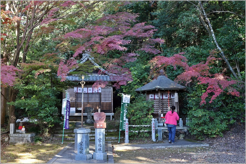 愛知縣犬光市寂光院-2023-11-21-62.jpg 愛知縣犬光市寂光院-2023-11-21-62.jpg