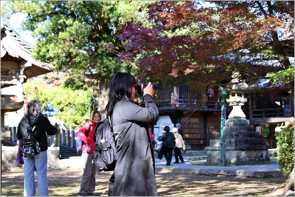 愛知縣犬光市寂光院-2023-11-21-69.jpg 愛知縣犬光市寂光院-2023-11-21-69.jpg