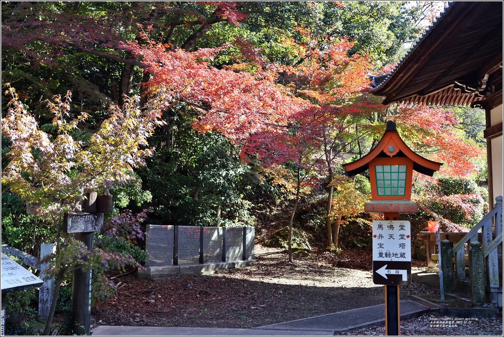 愛知縣犬光市寂光院-2023-11-21-66.jpg 愛知縣犬光市寂光院-2023-11-21-66.jpg